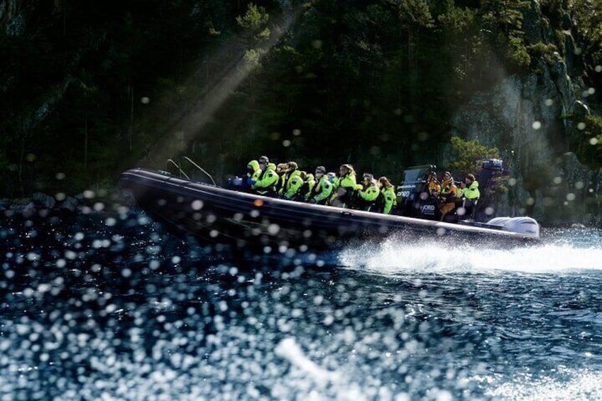 Lysefjord RIB Safari from Stavanger