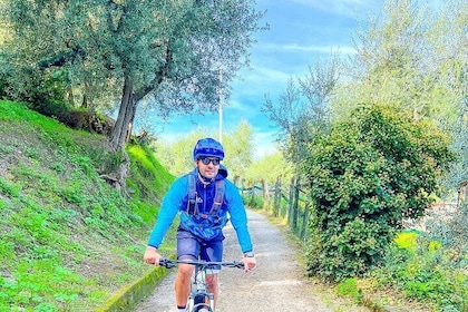 Oil and Lemon - Sorrento e-Bike Tour Experience