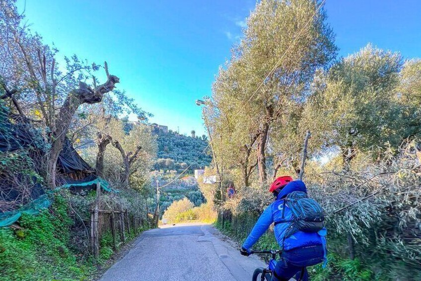 Oil and Lemon - Sorrento e-Bike Tour Experience