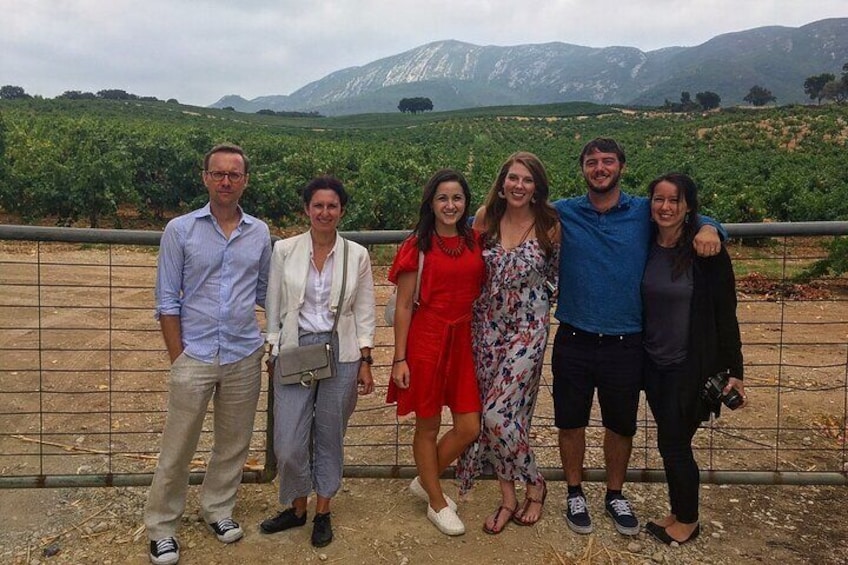 Vinyards of Arrabida