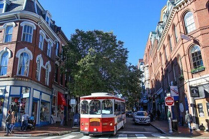 Descubre el recorrido por la ciudad y el faro de Portland