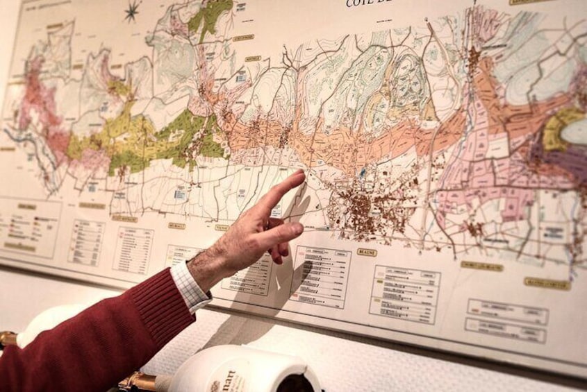 The Climats of the Burgundy Vineyard, a World Heritage Site