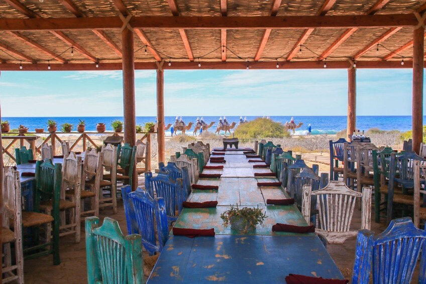 Magical Todos Santos, Camels, Tequila and Lunch