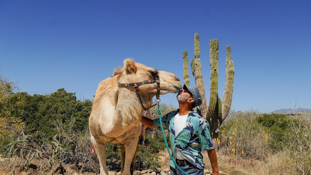 Magical Todos Santos, Camels, Tequila and Lunch