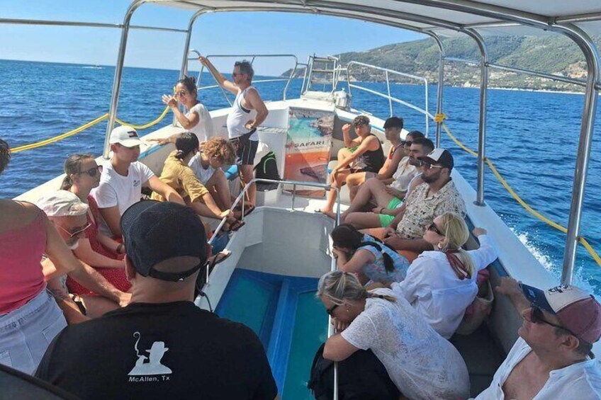 Turtle Spotting Cruise in Zakynthos on a Glass-Bottom Vessel