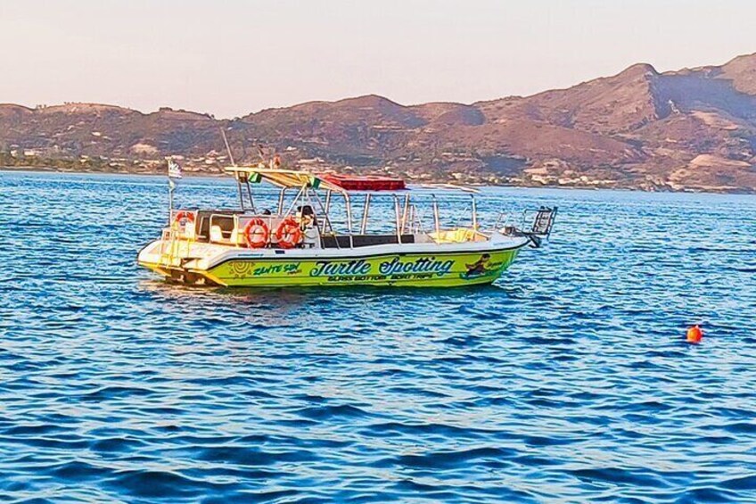 Turtle Spotting Cruise in Zakynthos on a Glass-Bottom Vessel