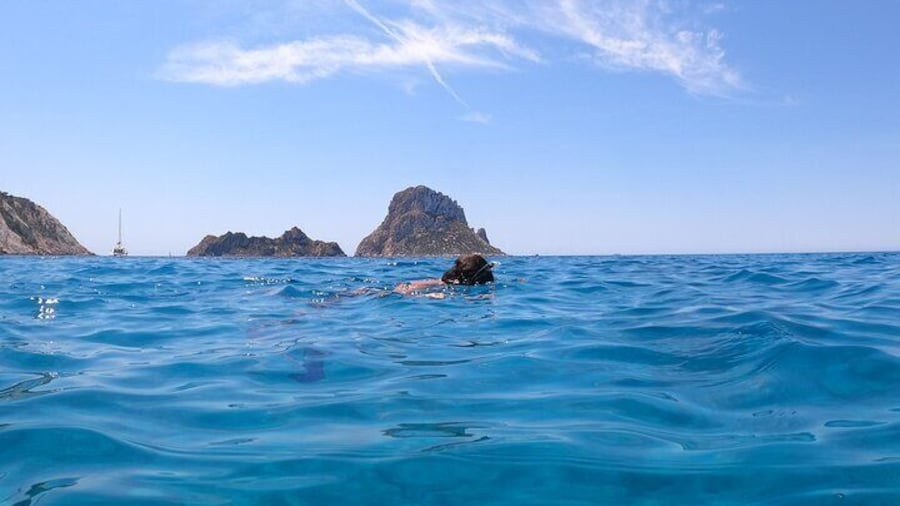 Ibiza Catamaran Cruise Es Vedrà Nature Reserve