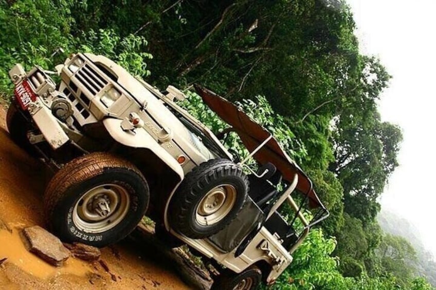 Half-Day Jeep Tour in Rio's Tijuca Rainforest and Scenic