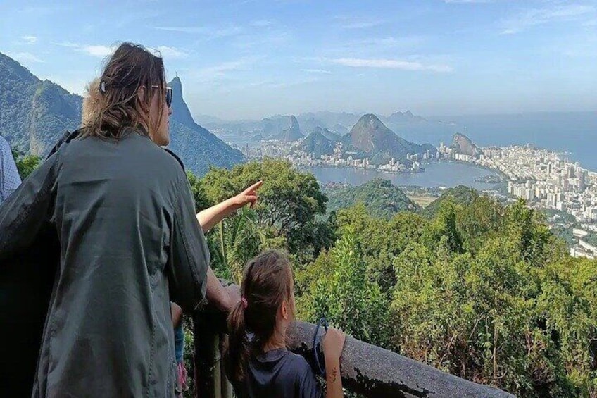 Half-Day Jeep Tour in Rio's Tijuca Rainforest and Scenic