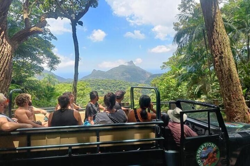 Half-Day Jeep Tour in Rio's Tijuca Rainforest and Scenic