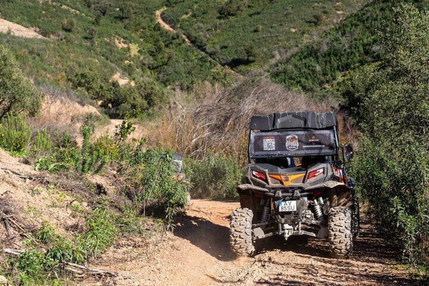 Dirt & Dust Paradise Buggy Day Tour at Silves Portugal