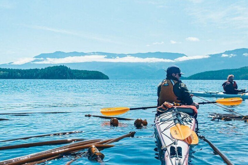 2 Hour Evening Adventure Kayaking Tour