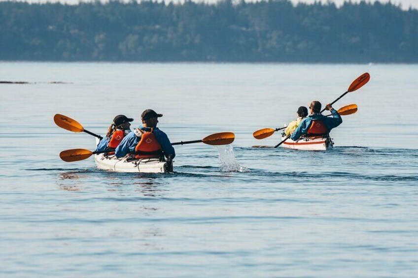 2 Hour Evening Adventure Kayaking Tour