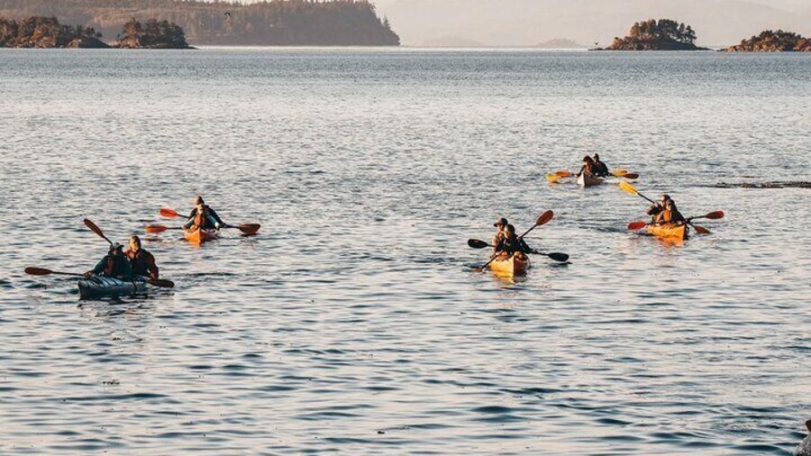 North Island Kayak Adventure