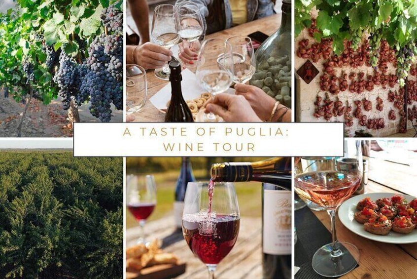 Wine tasting experience in the Apulian countryside 