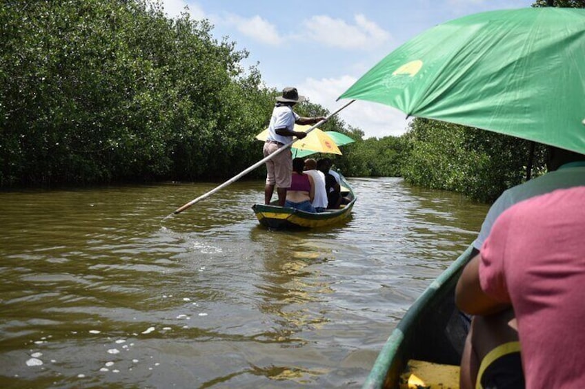 Full day tour of the mangrove swamp and mud volcano in Cartagena