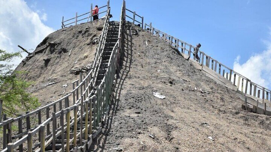 Full day tour of the mangrove swamp and mud volcano in Cartagena