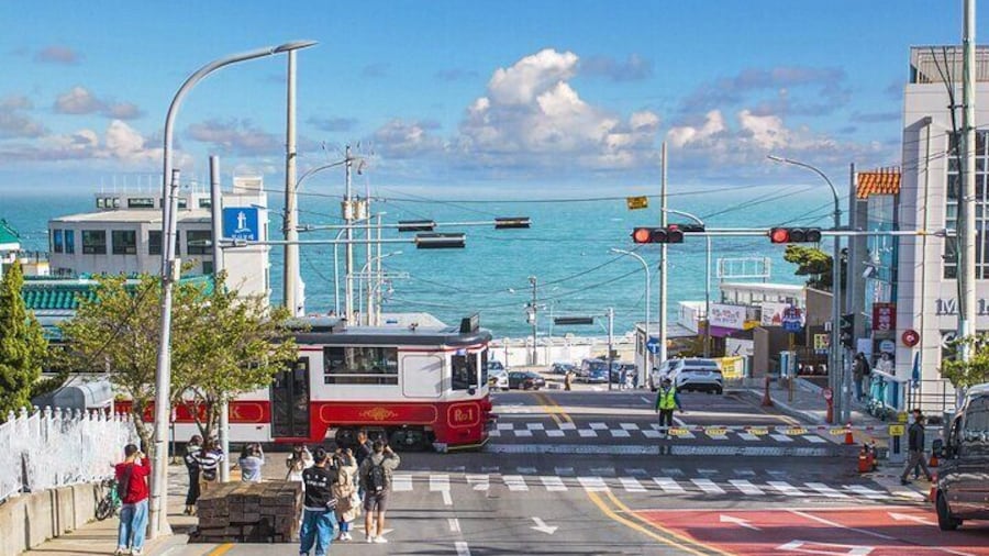 Busan's Cultural Wonders with Beach Train & Gamcheon Village etc