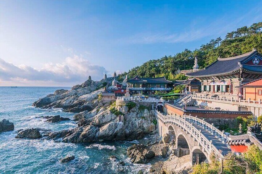 Busan's Cultural Wonders with Beach Train & Gamcheon Village