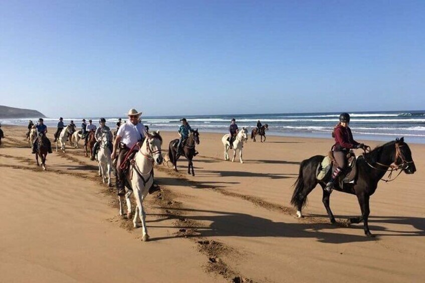 From Agadir or Taghazout: 2 hours Horse Ride in Taghazout Beach