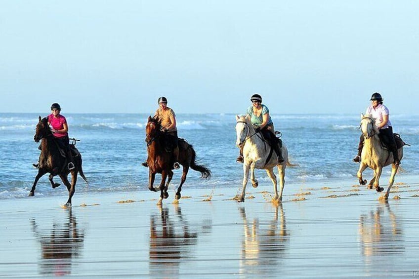  Agadir/Taghazout Horse Ride on the beach