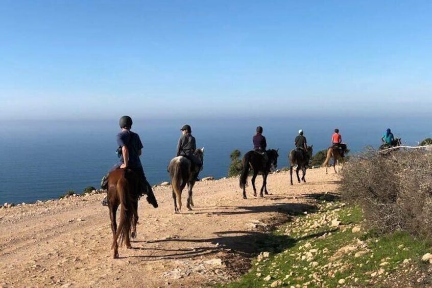 2 hours Private Horse Ride in Agadir Beach