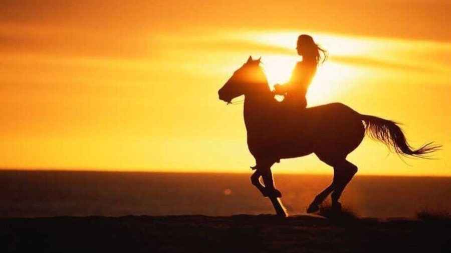 Agadir/Taghazout Horse Ride on the beach