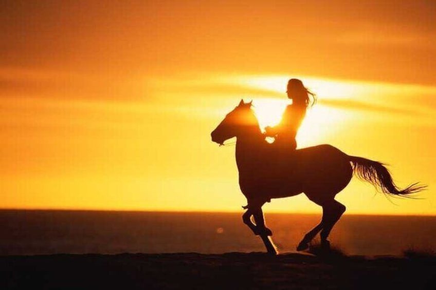  Agadir/Taghazout Horse Ride on the beach