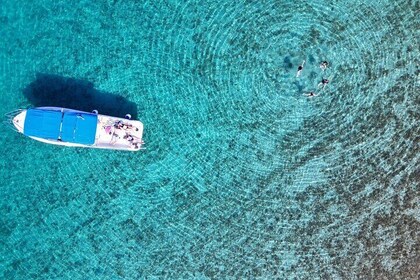 Half-Day Private Blue Lagoon Island Tour in Croatia