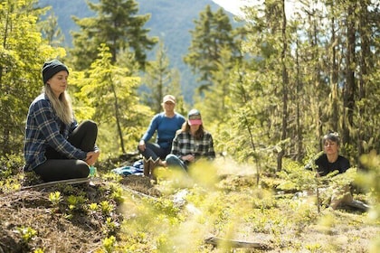 Private Forest Bathing in Serene Whistler Forests