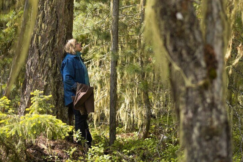 Private Forest Bathing in Serene Whistler Forests