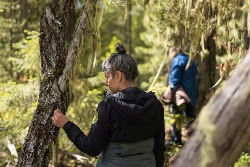 Private Forest Bathing in Serene Whistler Forests