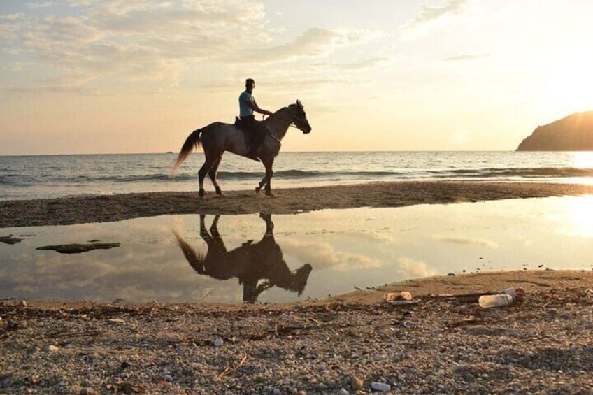 Alanya Private Horse Riding Tour On the Beach