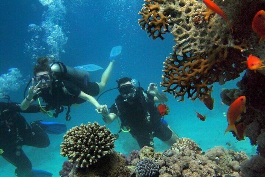 6 Hours Side Scuba Diving and Under Water Museum in Manavgat
