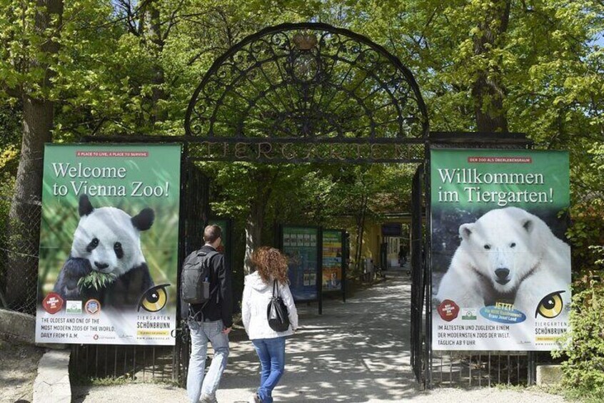 The zoo is part of the Schönbrunn UNESCO World Heritage Site and is home of 7,780 animals out of 667 species.