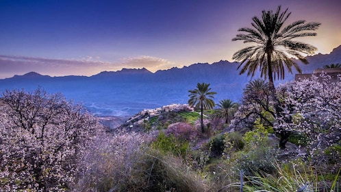 Ganztägige private Tour von Muscat nach Nakhal und Wakan