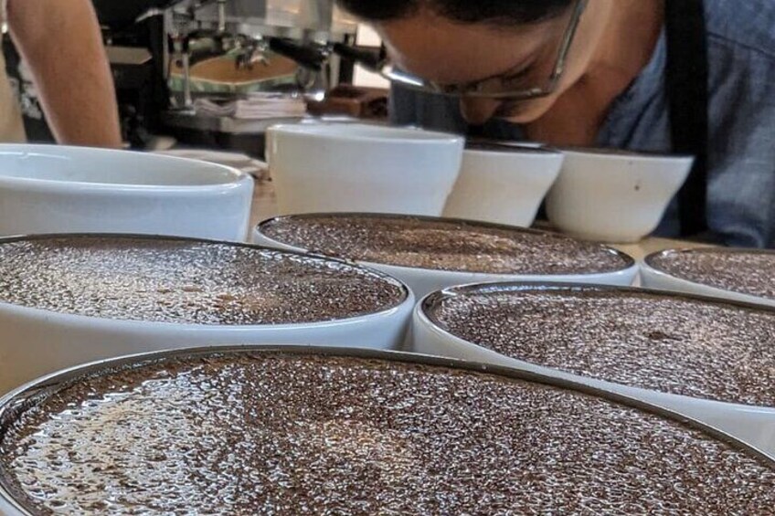 Specialty Coffee Cupping in Heredia