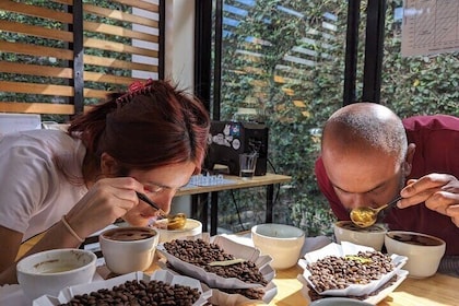 Specialty Coffee Cupping in Heredia