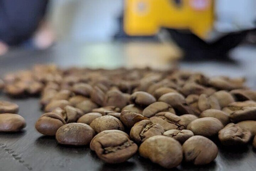 Specialty Coffee Cupping in Heredia