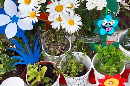 Creative laboratory - Plants and colours