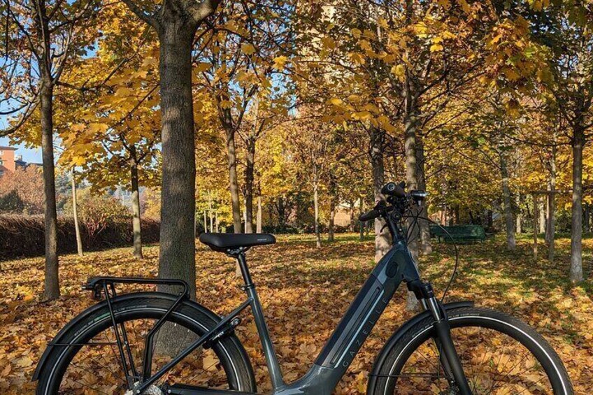 Autumn