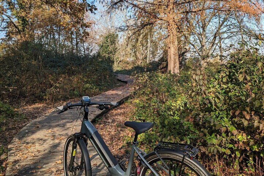 Bosco in città