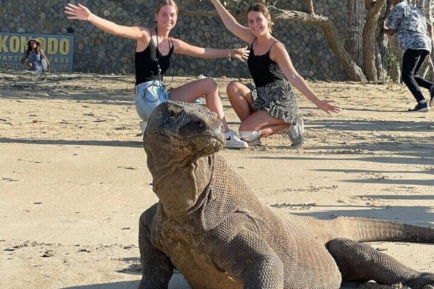 Komodo Boat Trip in Lombok Indonesia 