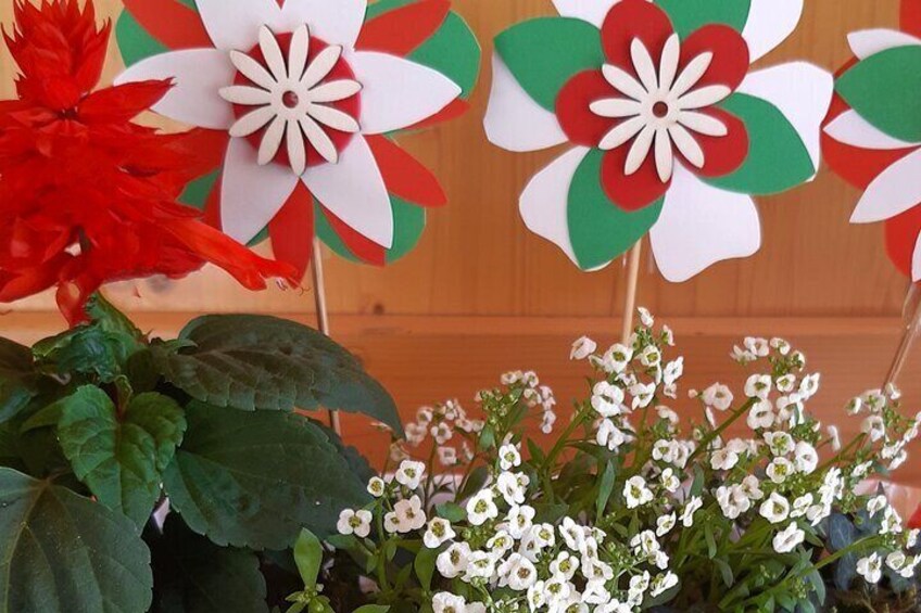 Tricolor themed vegetable garden