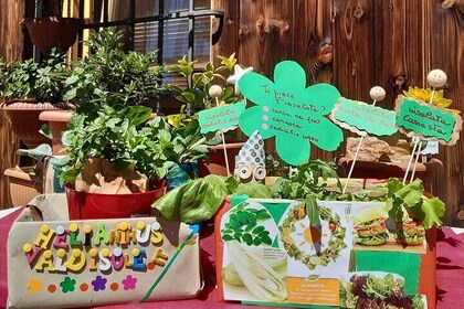 Creative workshop - Vegetable garden in boxes