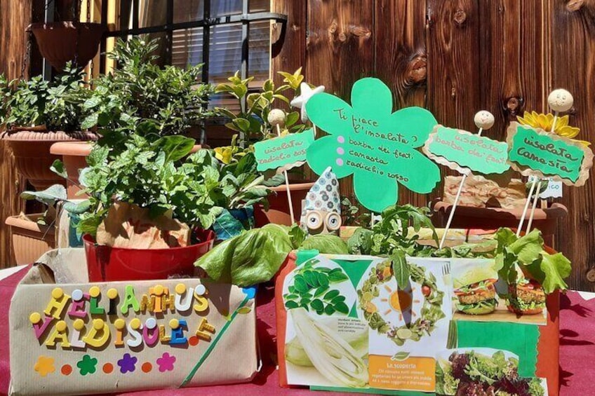 Vegetable gardens in Helianthus boxes