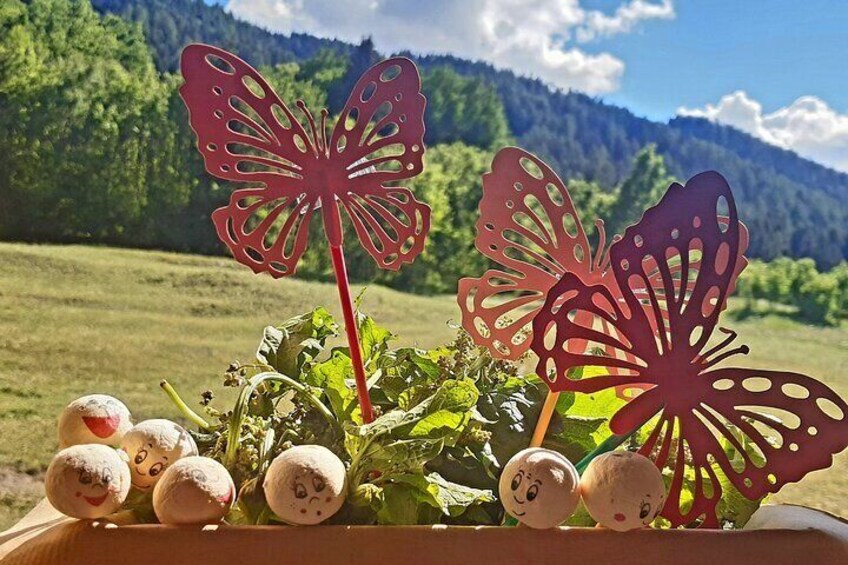 We create our garden