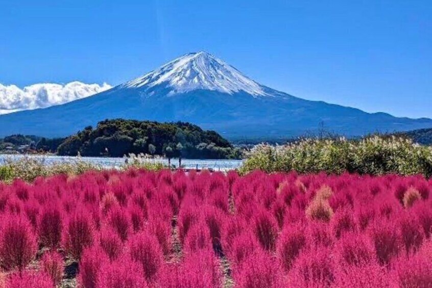 Private Group Trip Of Mount Fuji Areas(English speaking Guide)