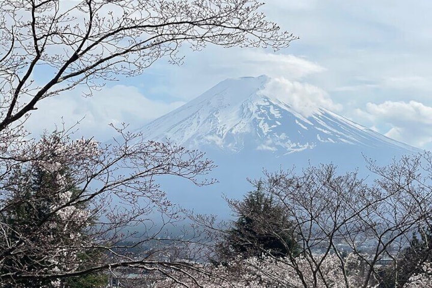 Mount Fuji Private Group Tour In Minivan (English speaking Guide)