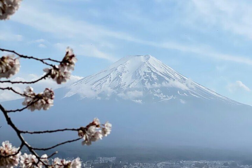 Mount Fuji Private Group Tour In Minivan (English speaking Guide)